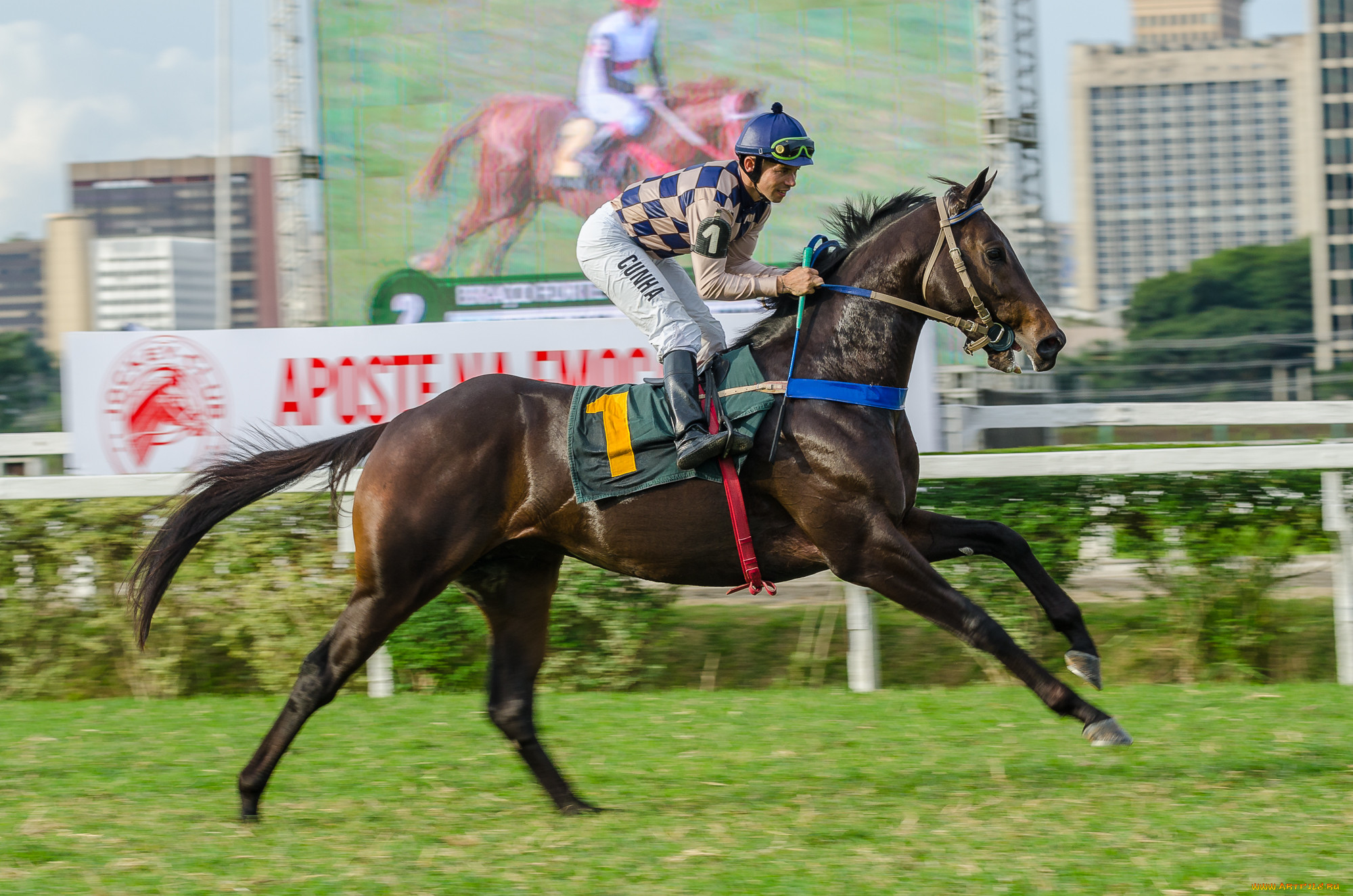 jockey club de s&, 227, o paulo, ,  , , , , 